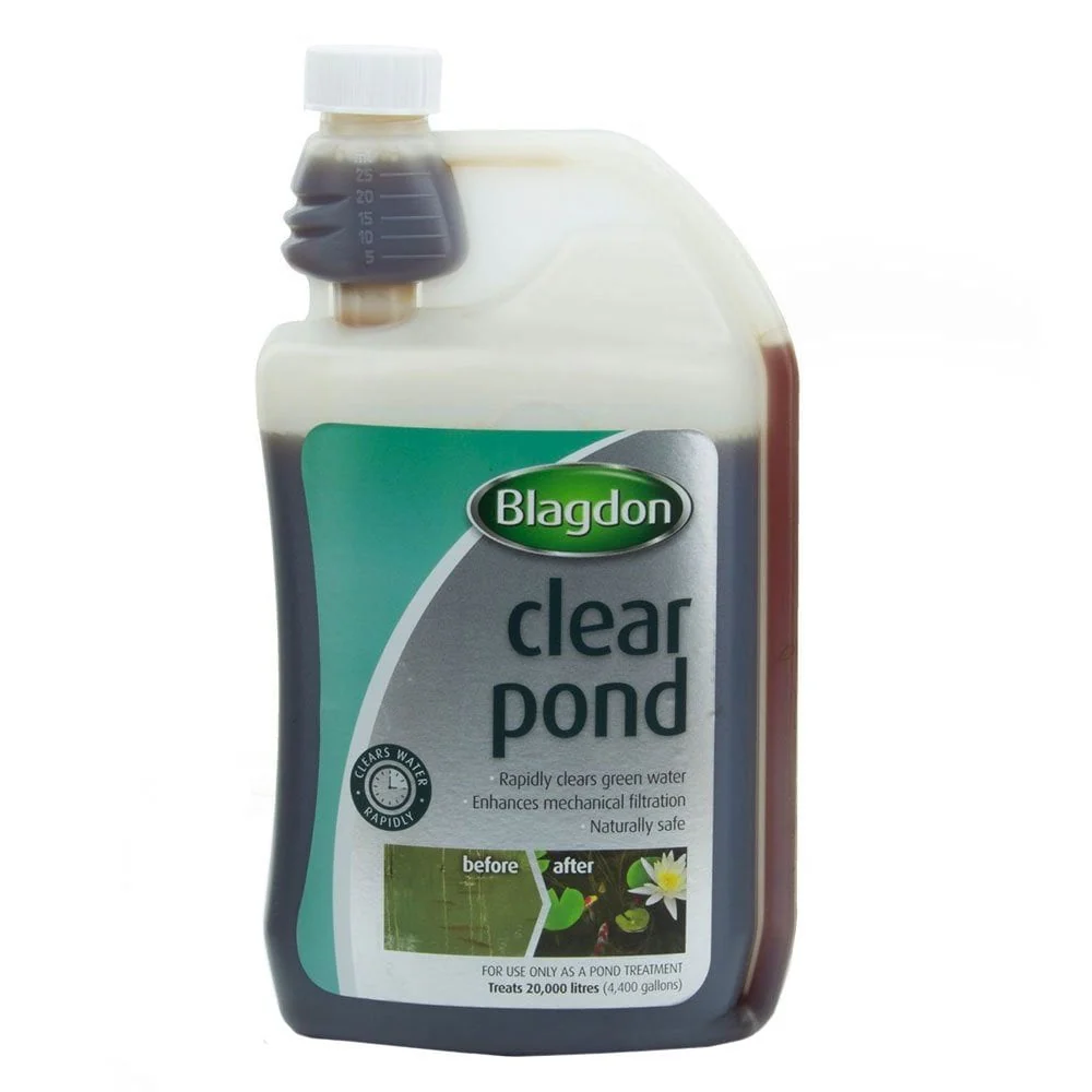 Clear Pond - Image 4