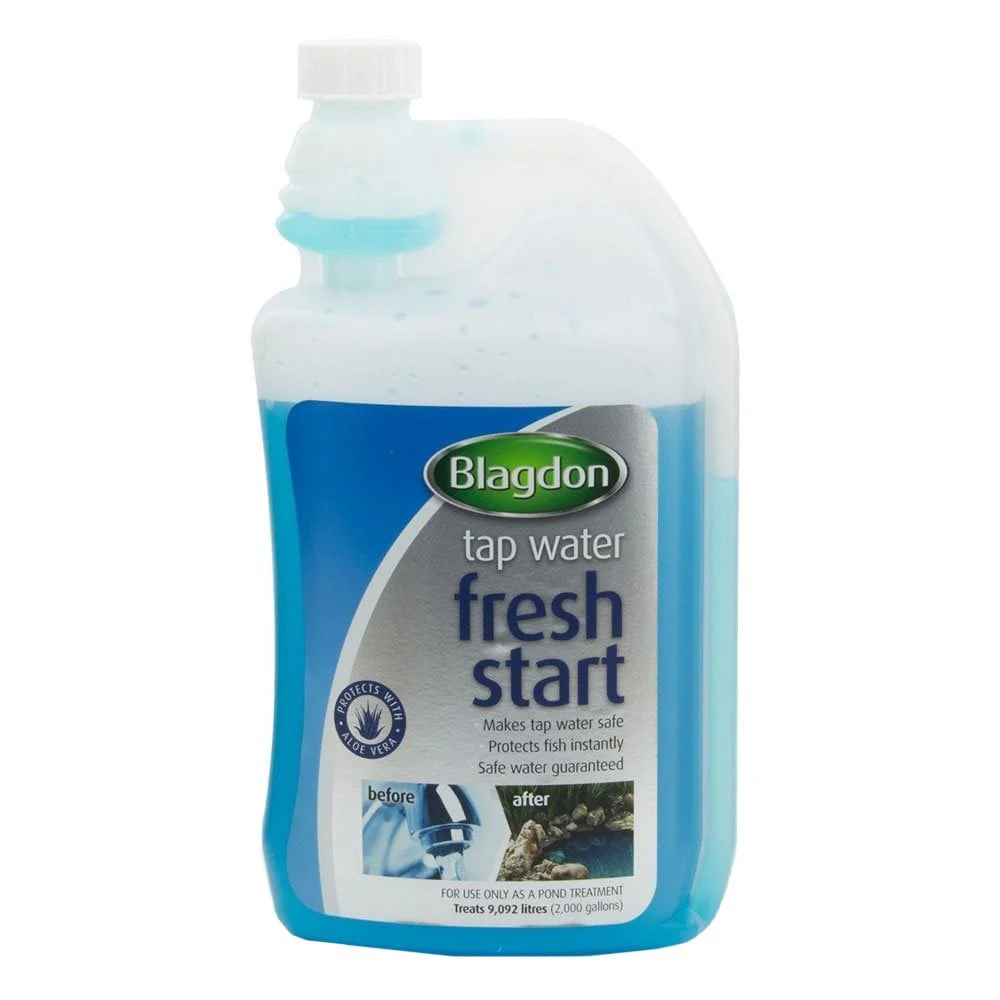 Fresh Start - Image 4