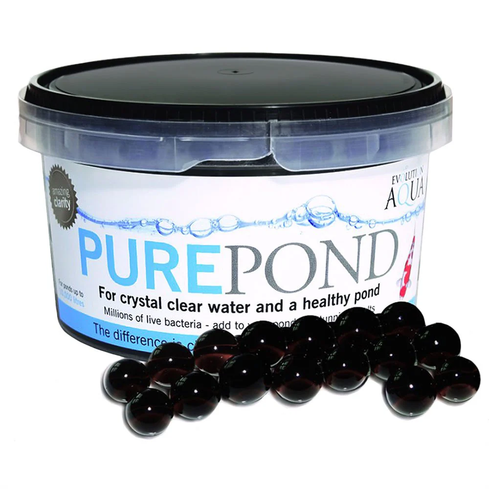 PURE Pond - Image 3