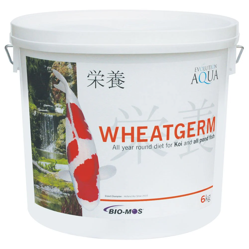 Wheatgerm - Image 3