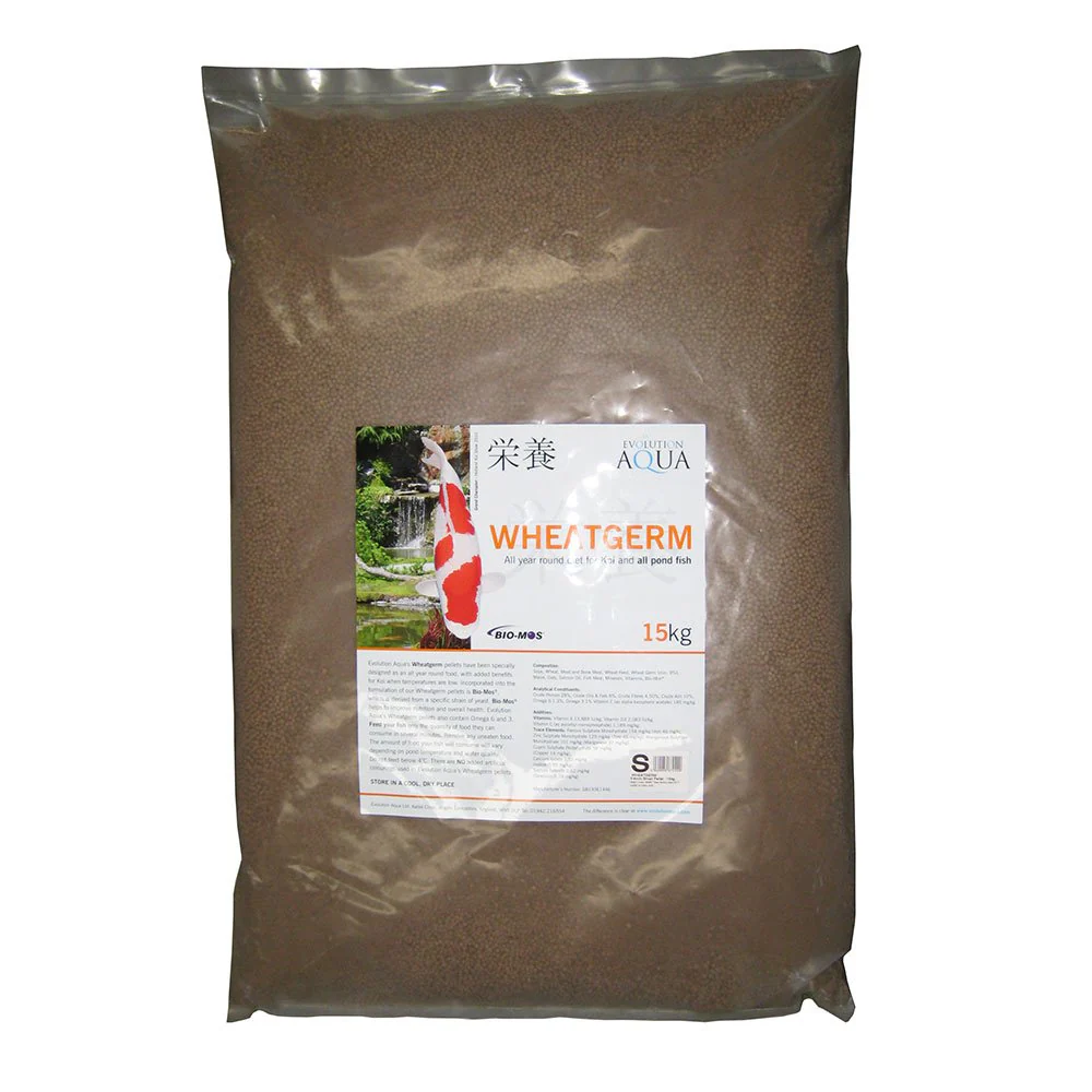 Wheatgerm - Image 4