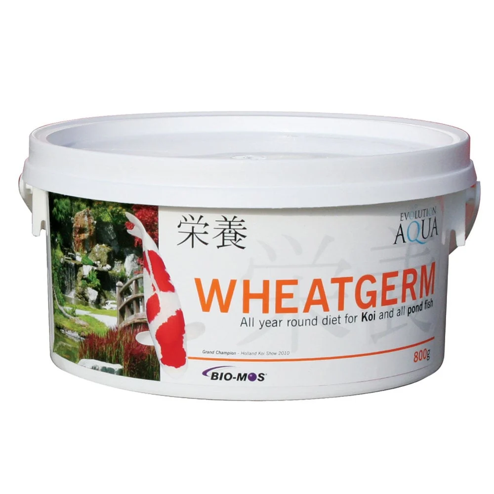 Wheatgerm - Image 5