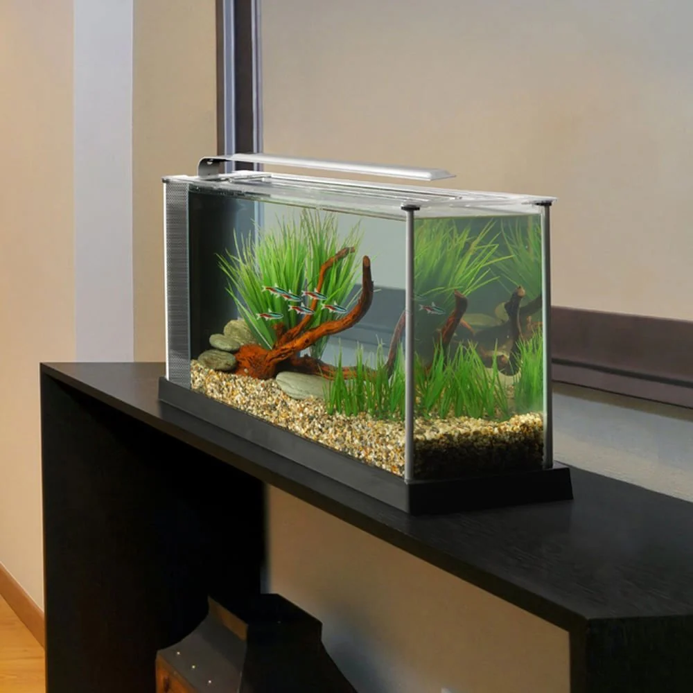 Spec Aquarium 19L - Black - Image 4