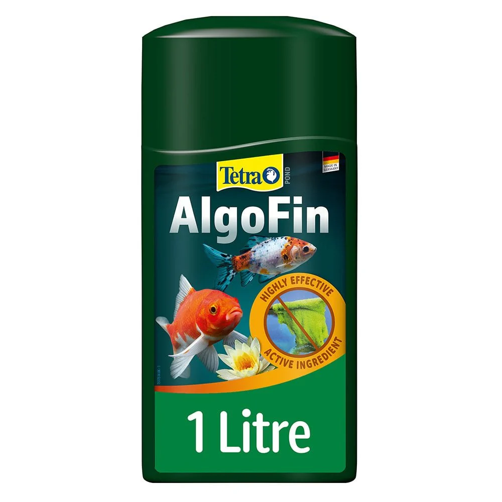 AlgoFin - Image 6